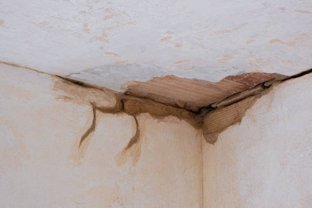 Best 24/7 water damage repair  in Beverly Hills, TX
